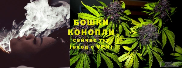 ПСИЛОЦИБИНОВЫЕ ГРИБЫ Алексеевка
