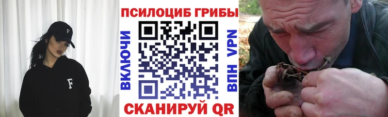 закладка  Краснотурьинск  Галлюциногенные грибы GOLDEN TEACHER 